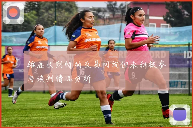 雄鹿收到特纳交易问询但未积极参与谈判情况分析
